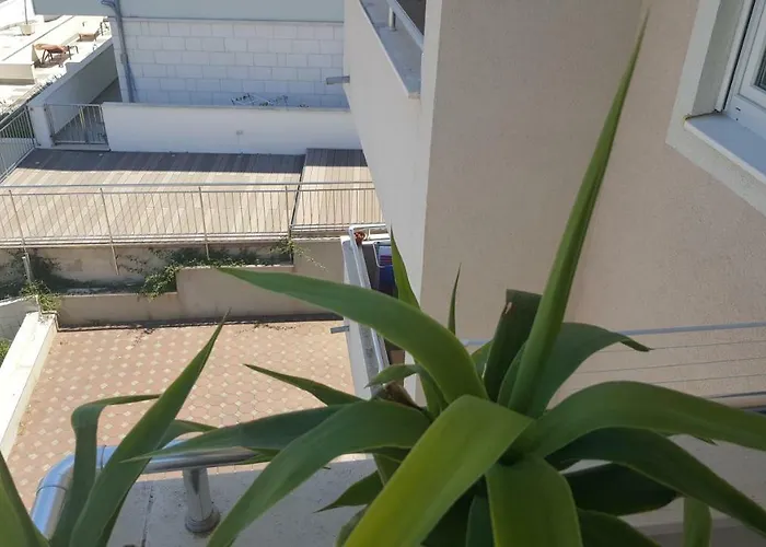 Tamara Apartman Trogir